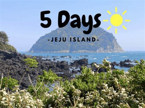 jedoy vlog today|Best things to do in Jeju Island .